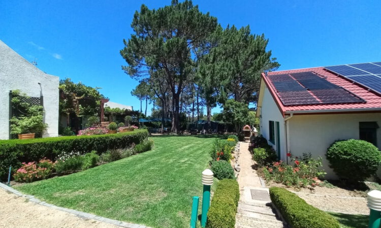 Garden from the secure parking